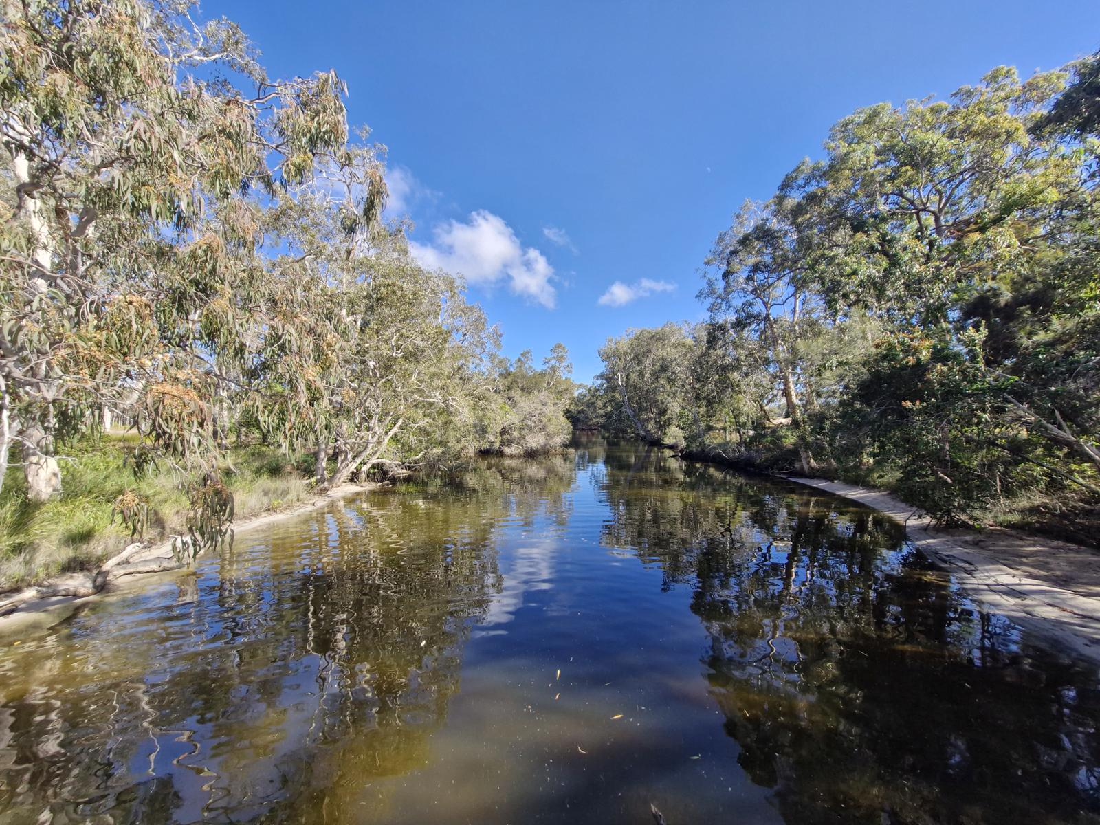 Trail Image for Lake Weyba: Foreshore Walk