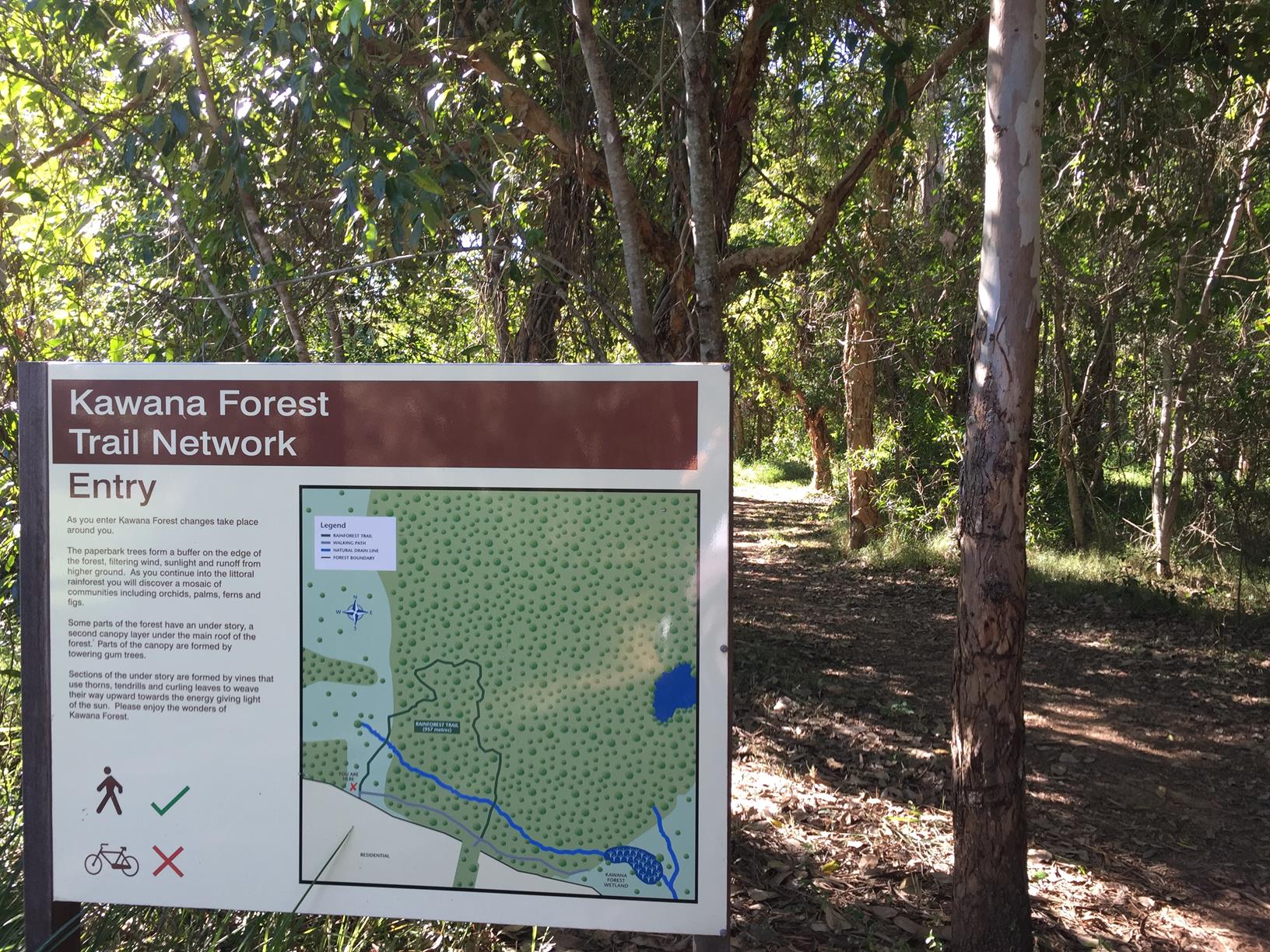 Trail Image for Kawana Forest: Nature Walk