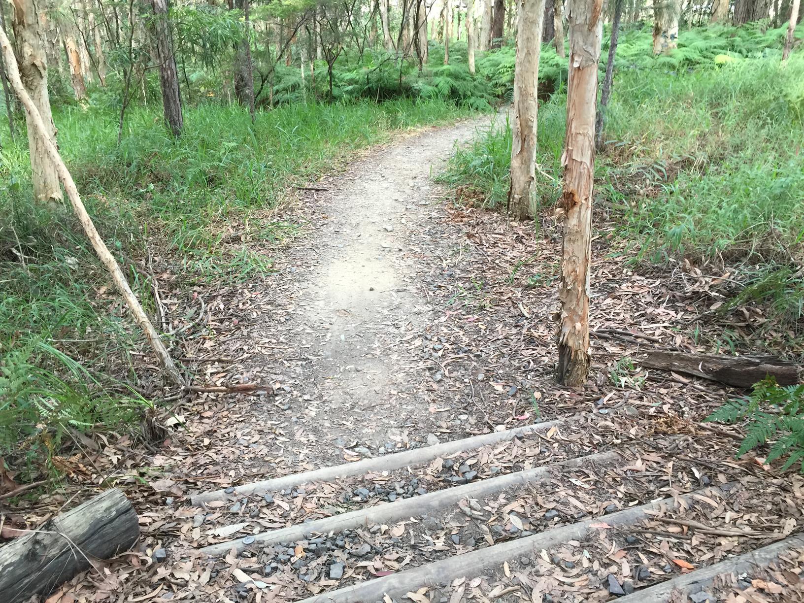 Trail Image