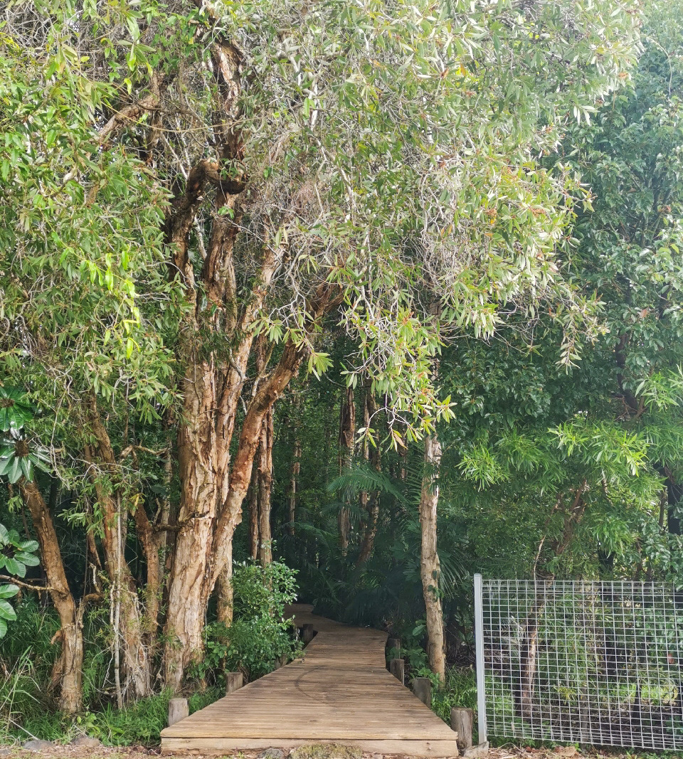 Trail Image