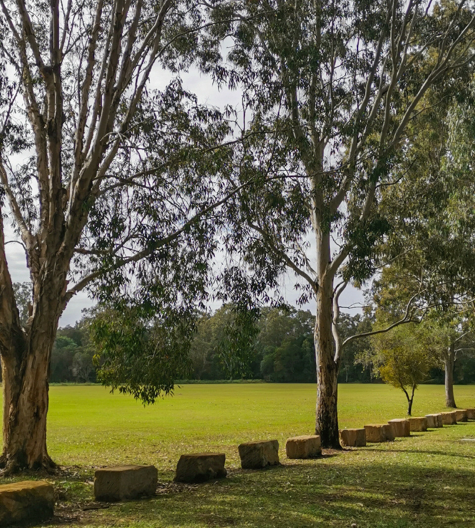 Trail Image