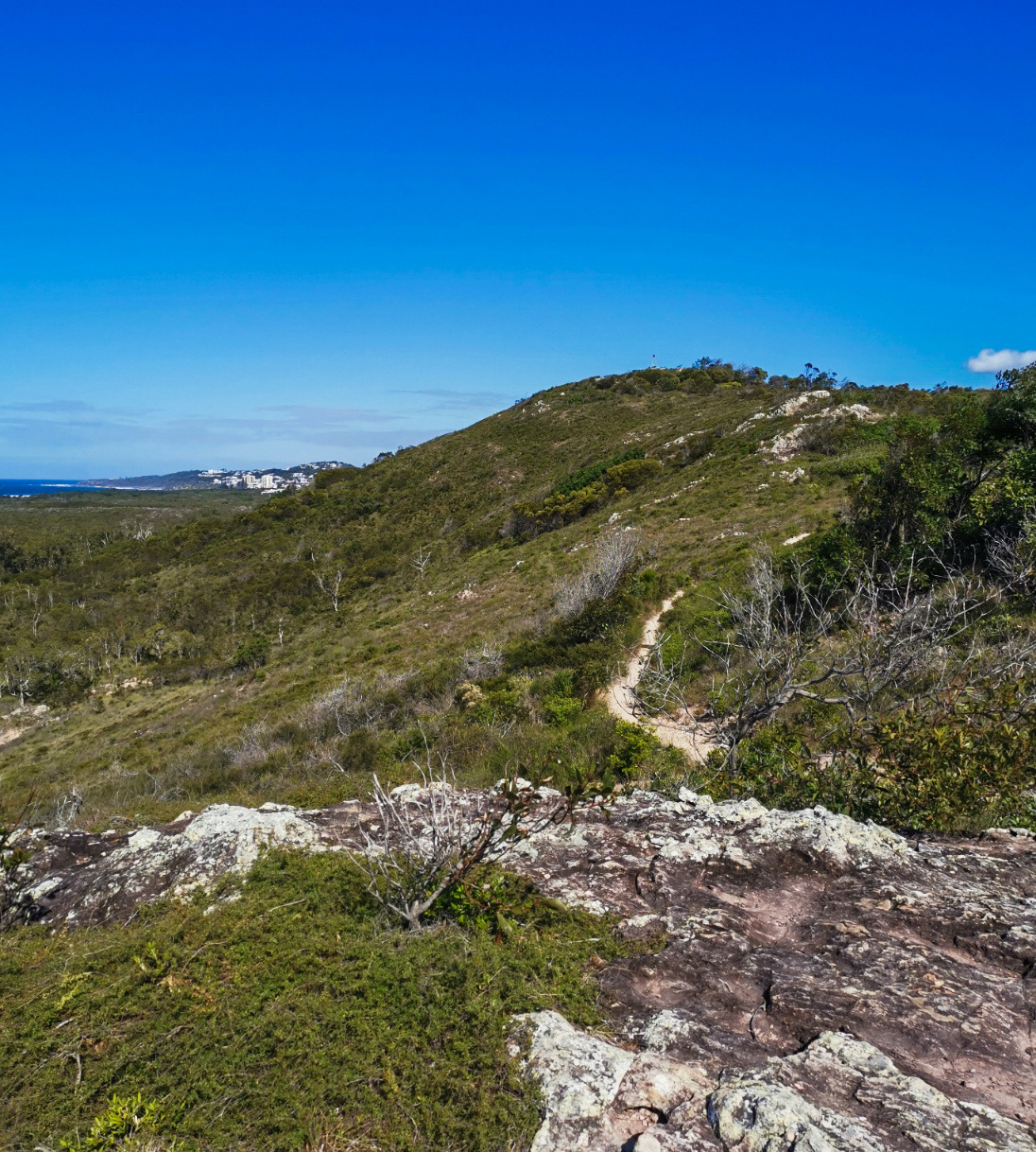 Noosa National Park: Emu Mountain - Adventure Sunshine Coast